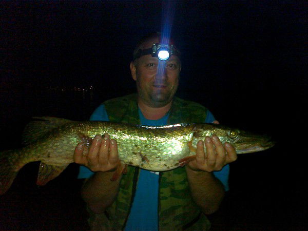 Алексей Новоселов