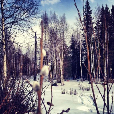 Паша Алексеев