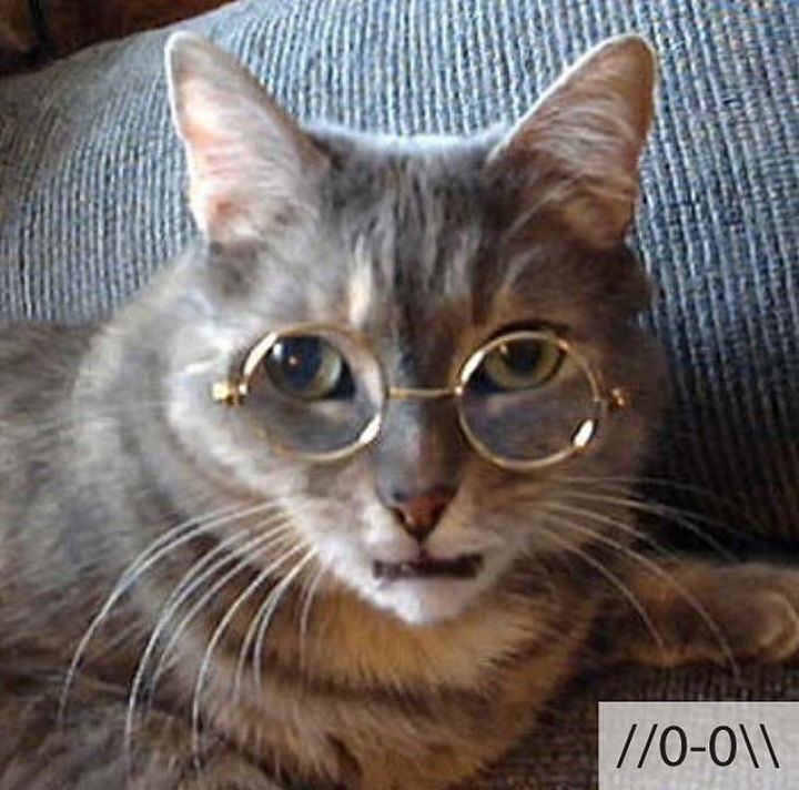 Елена Быкова