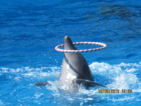 Елена Музурова