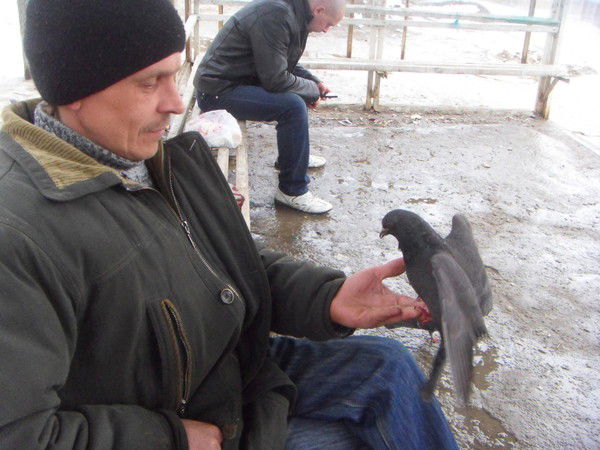 Евгений Приходкин