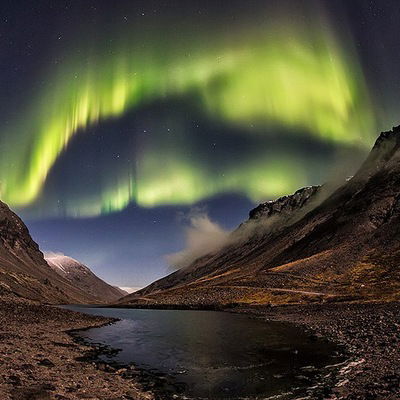 Галина Дорохина