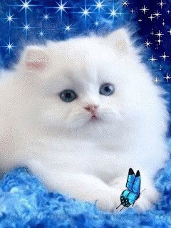 Зина Зинулька