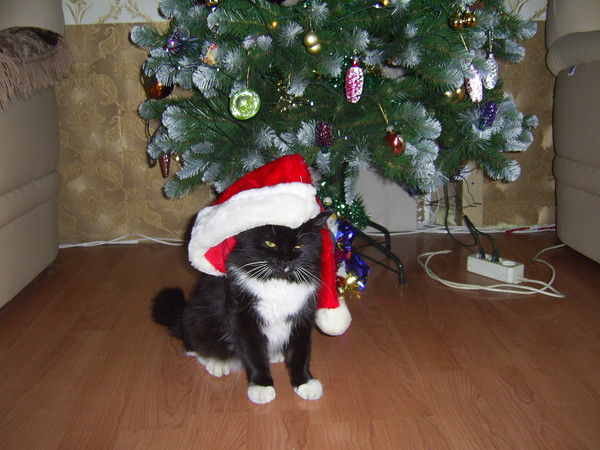 Николай Борисов