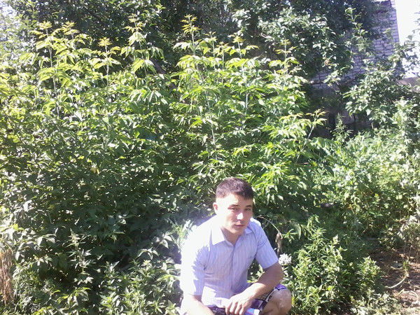 Медет Махат