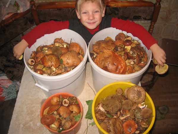 Ярик Хатунцев