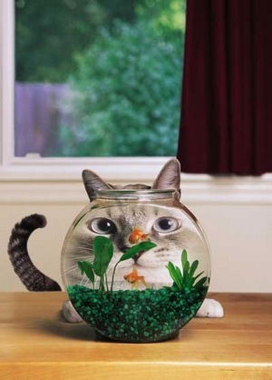 Юля Леонова