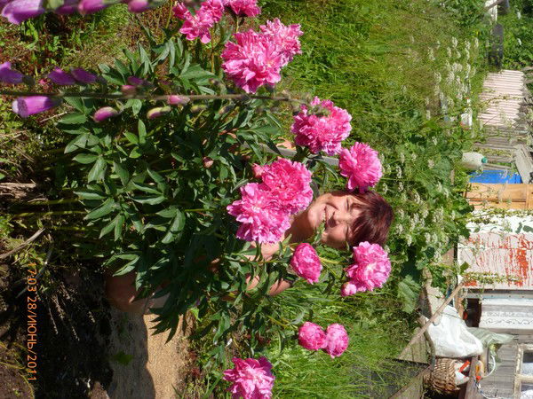 Лидия Данилова