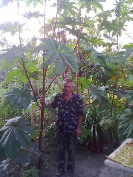 Александр Сажко