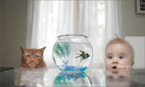 Татьяна Пацева