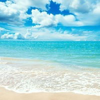 Маргарита Шевченко