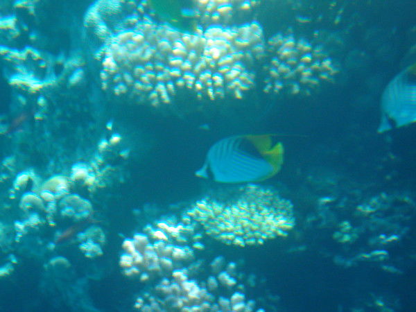 Наталья Базина