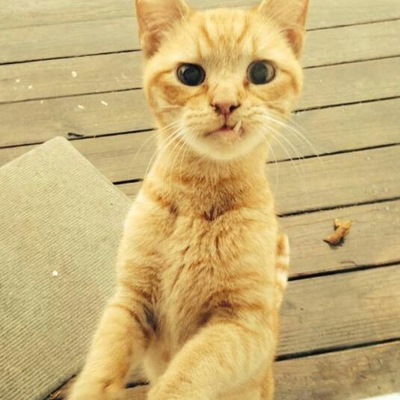 Кирилл Виноградов