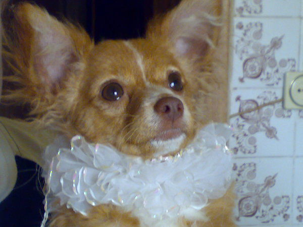 Эдуард Бейлинсон