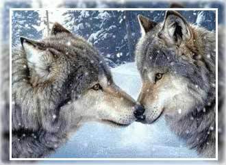 Татьяна Мазитова