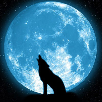 Александр Евдокименко