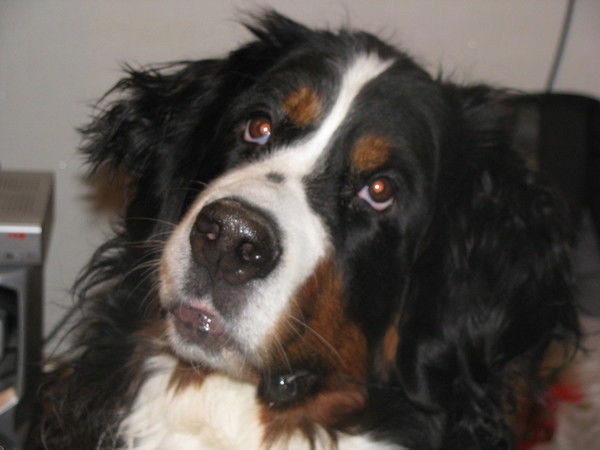 Анастасия .