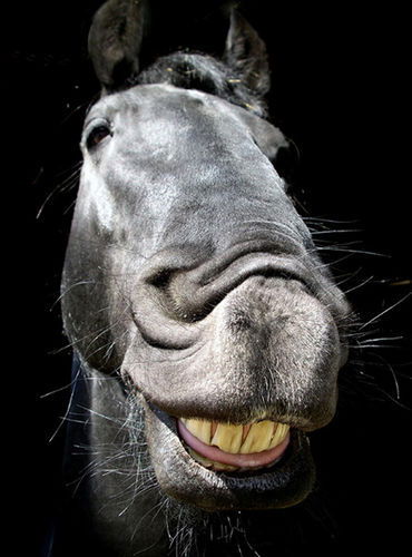 Кирилл Генин