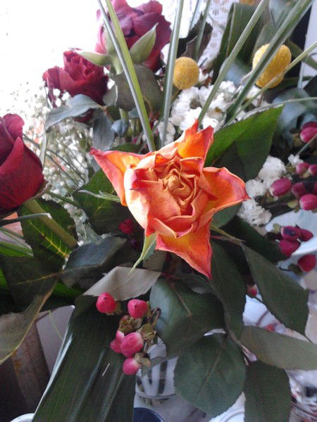 Светлана Калганова