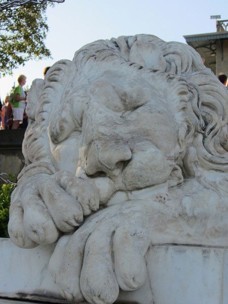 Владислав Денисов