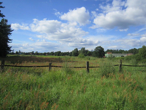 Камилла Алышпаева