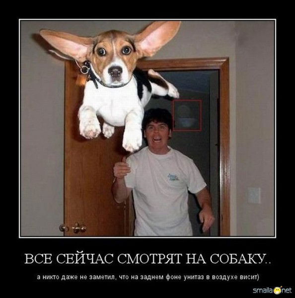 Александр Дятлов