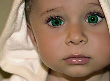 Максим Александрович