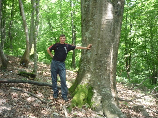 Александр Радько