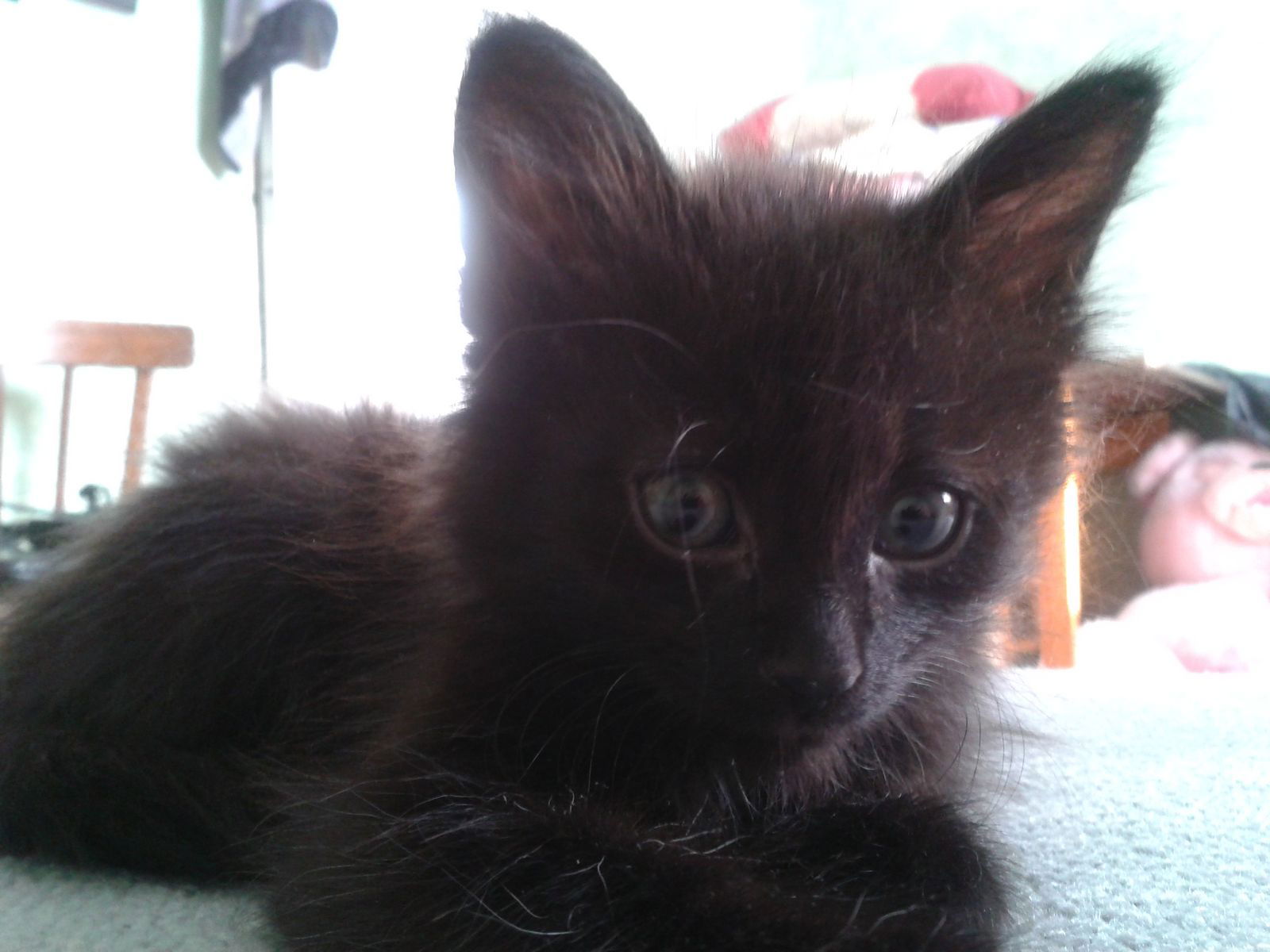 Ольга Хасаншина