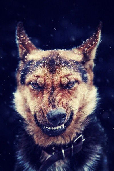 Наталья Балыкина