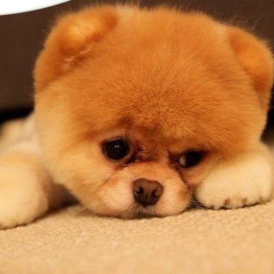 Диана Акиньшина