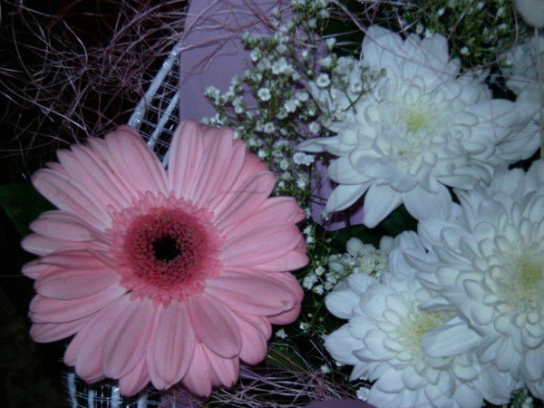 Ирина Гурьянова