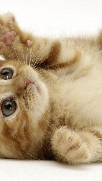 Зарина Ермагамбетова