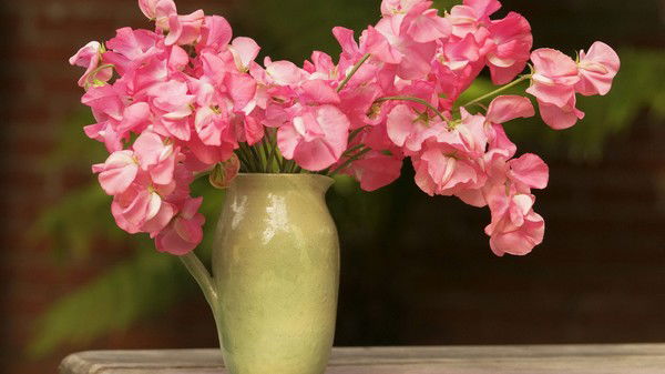 Мистер Инкогнито