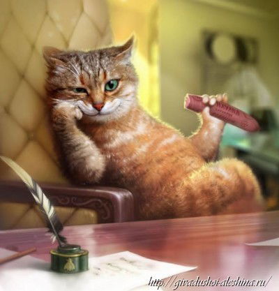 Инна Николаевна Дворук