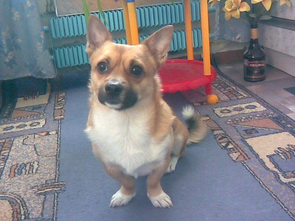 Сёмочка Макеев