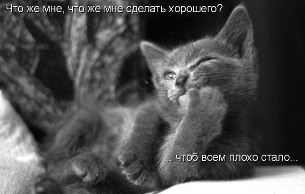 Ирина Матюхина