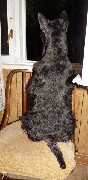 Настя Пыхова