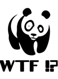 Сергей Балахонов