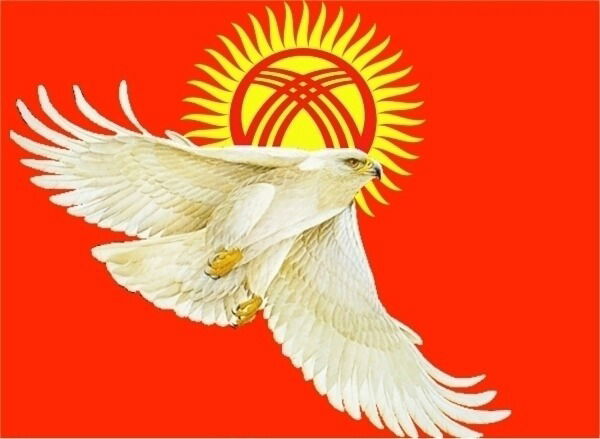 Нариман Кадырбеков