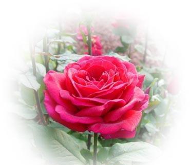 Иманбаева Гульнар