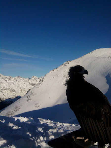 Расул Семёнов