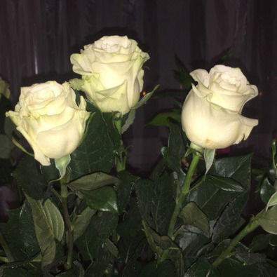 Антонина Галицкая