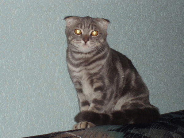 Николай Куталин