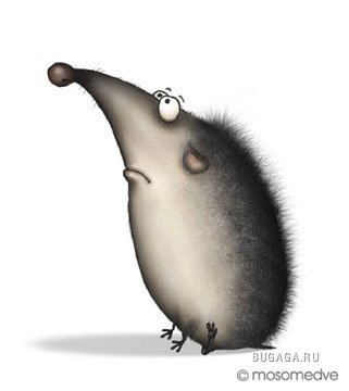 Александр Данильченко