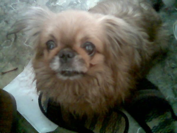 Алексей Николаевич