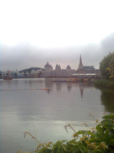 Елена Петрякова