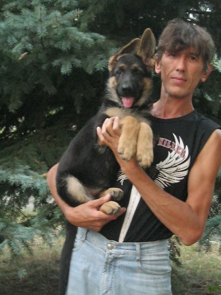 Сергей Безкоровайный