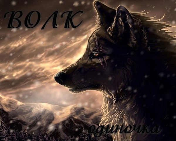 Павел Неклюдов