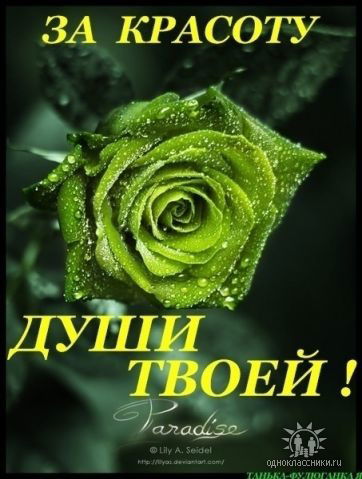 Елена Горбаль